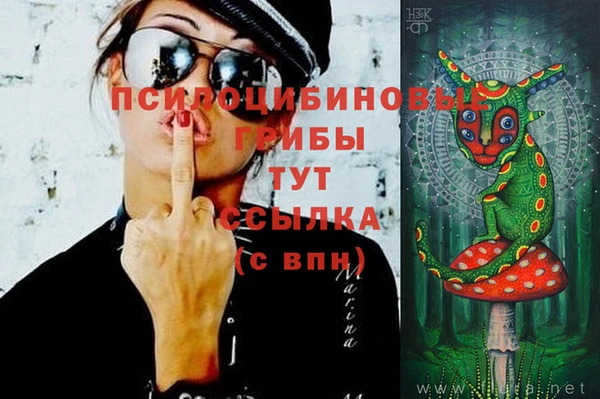 мдпв Арсеньев
