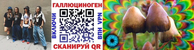 Галлюциногенные грибы мухоморы Купить где Аркадак