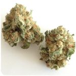 Шишки "White Widow"  (Белая вдова)  Гидропоника -  Бошка VHQ в Аркадаке